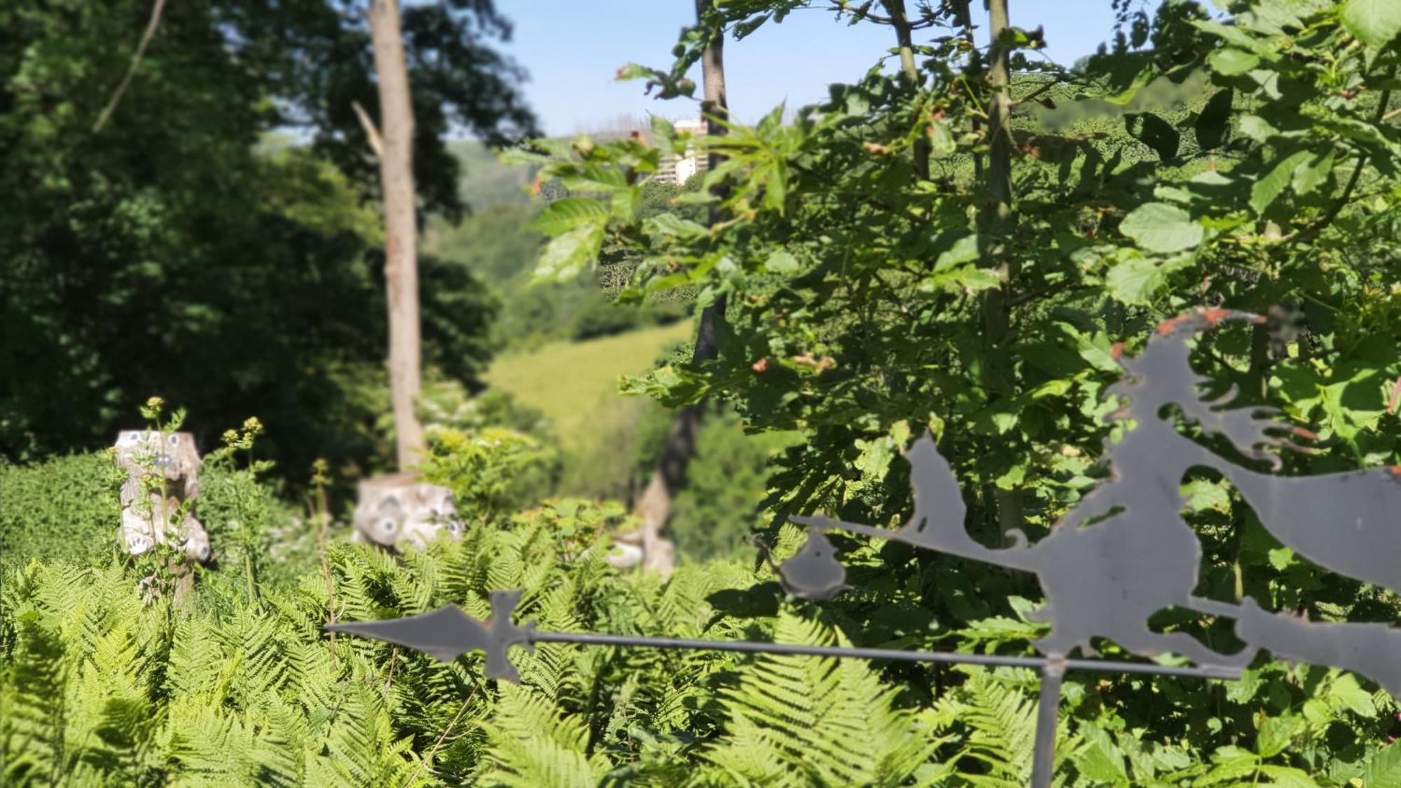 Hotel Schneiderhof 布劳恩拉格 外观 照片